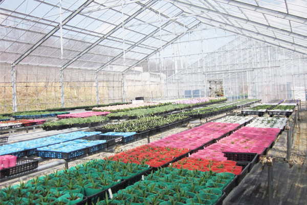 サンプルイメージ