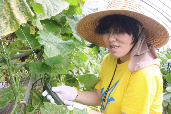 サンプルイメージ