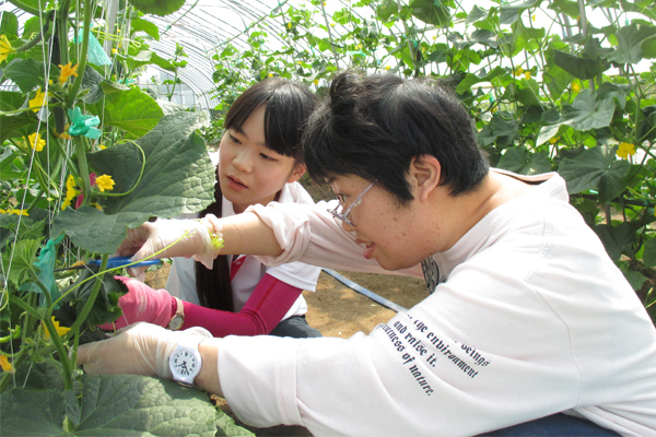 サンプルイメージ