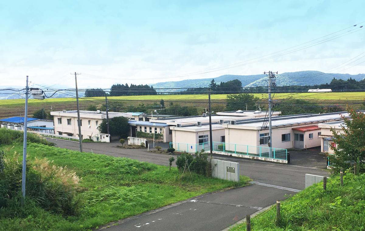 サンプルイメージ