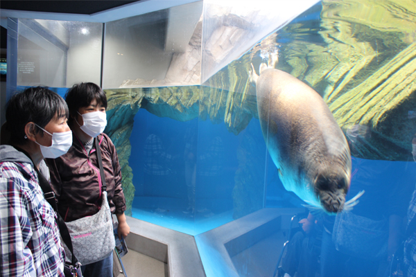 サンプルイメージ