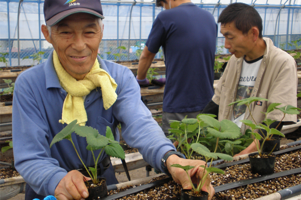 サンプルイメージ