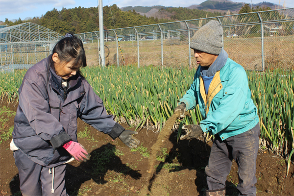 サンプルイメージ