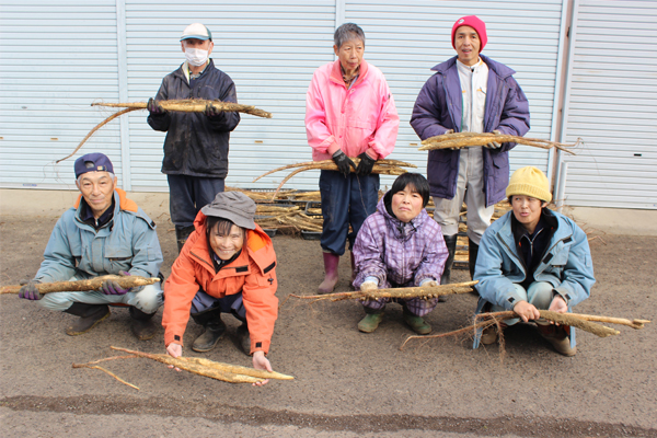サンプルイメージ