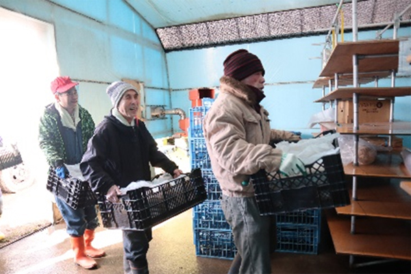 サンプルイメージ