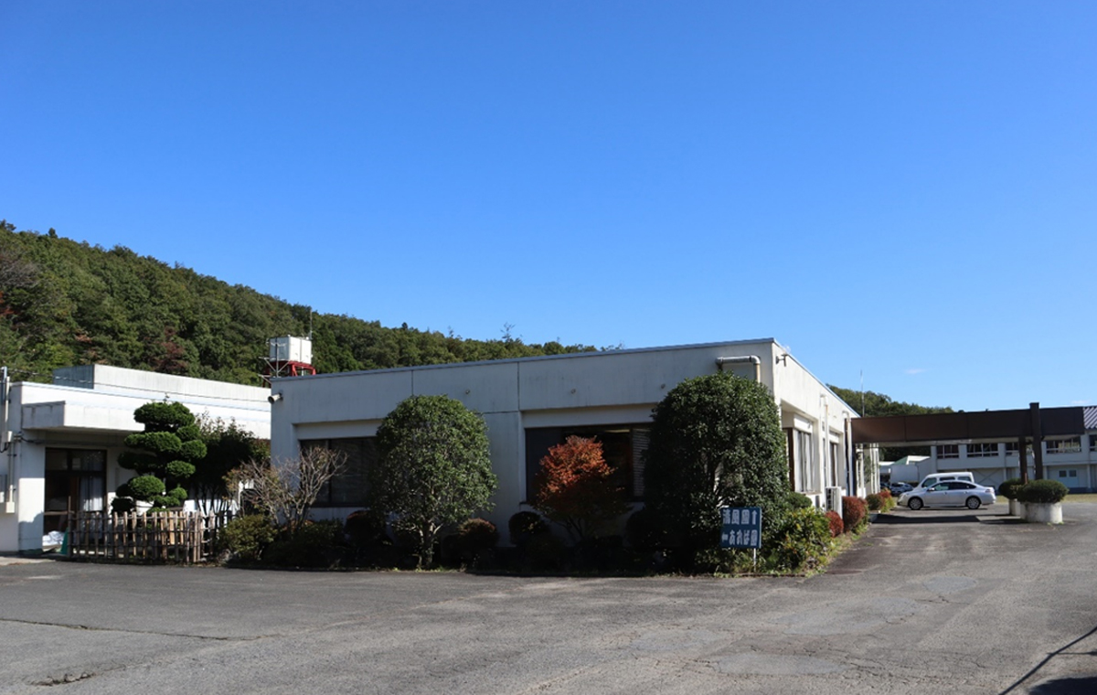 サンプルイメージ