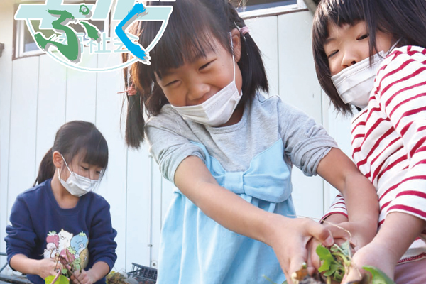 サンプルイメージ